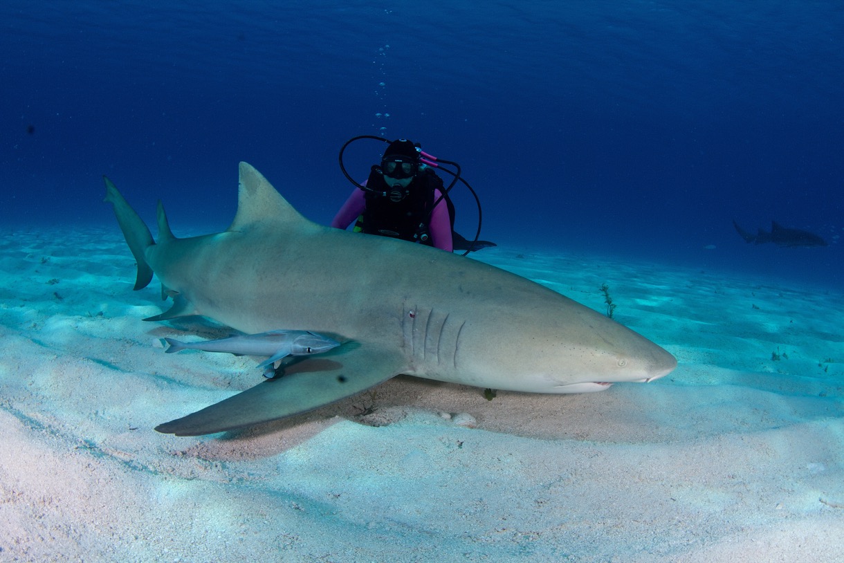 2014-07-20 Bahamas2014D1D3 289.jpg