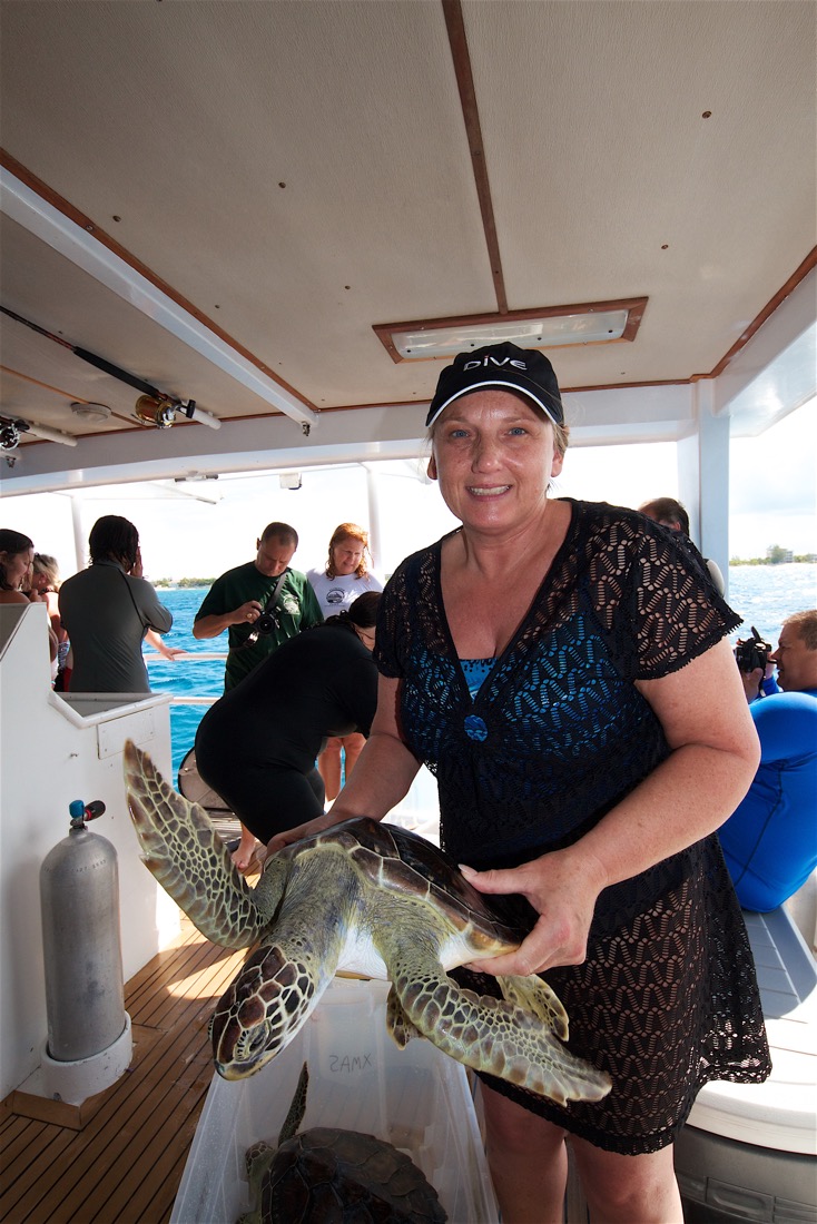 2011-06-10 Cayman 2011 Turtles 1090.jpg