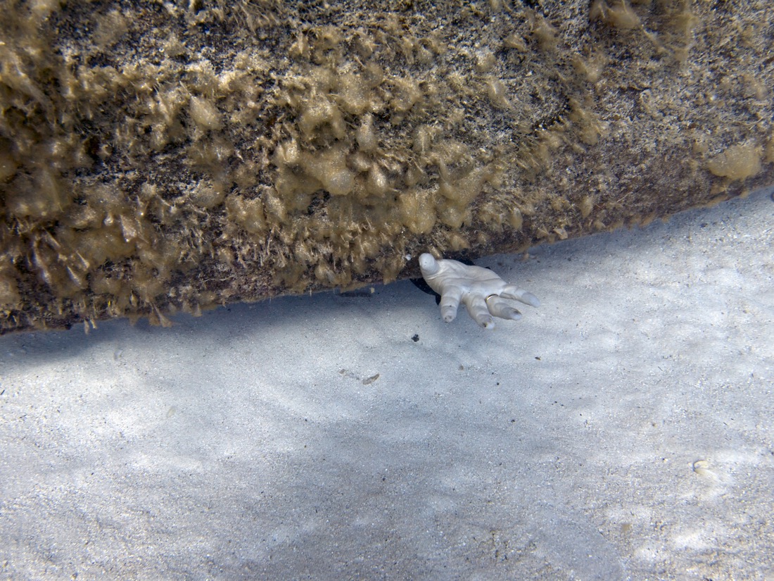 2011-06-10 Cayman WBB 05.jpg