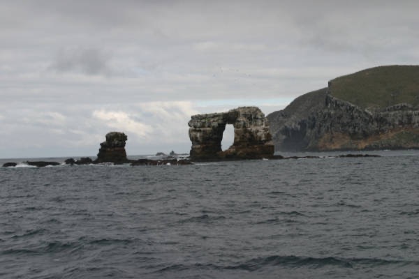 Galapagos_Land_D40035.jpg