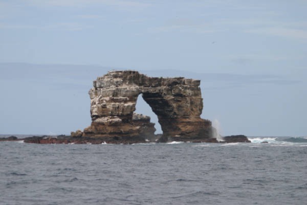 Galapagos_Land_D40076.jpg