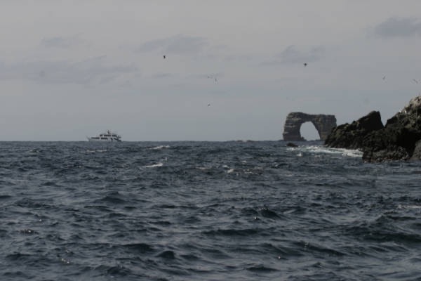 Galapagos_Land_D50071.jpg