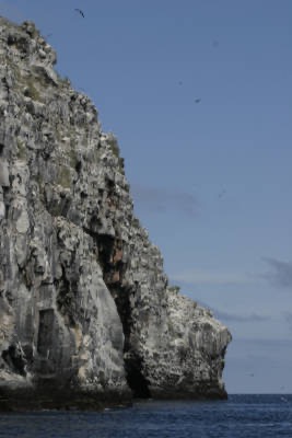 Galapagos_Land_D50167.jpg