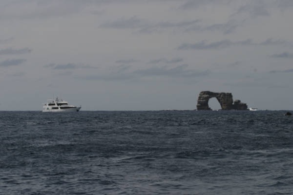 Galapagos_Land_D50173.jpg