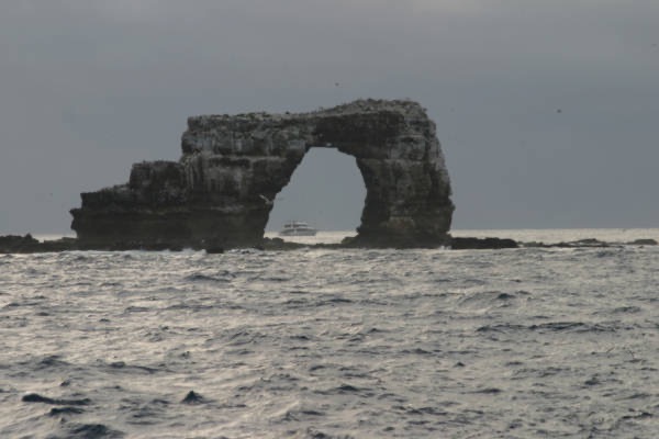 Galapagos_Land_D50205.jpg