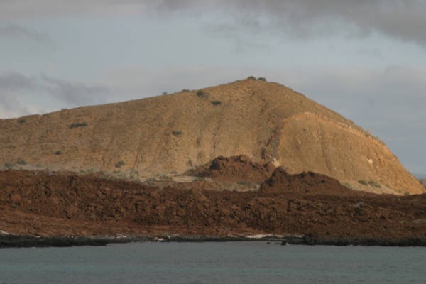 Galapagos_Land_D70052.jpg