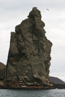 Galapagos_Land_D70211.jpg