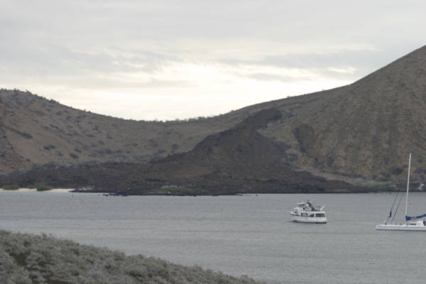 Galapagos_Land_D70240.jpg