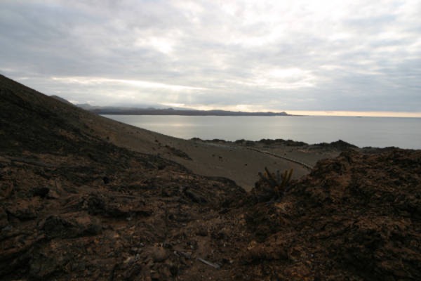 Galapagos_Land_D70261.jpg