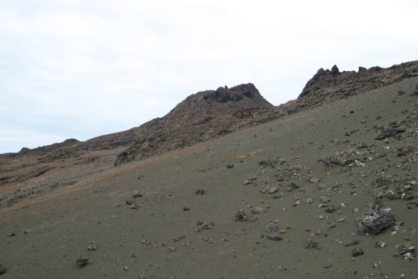 Galapagos_Land_D70269.jpg