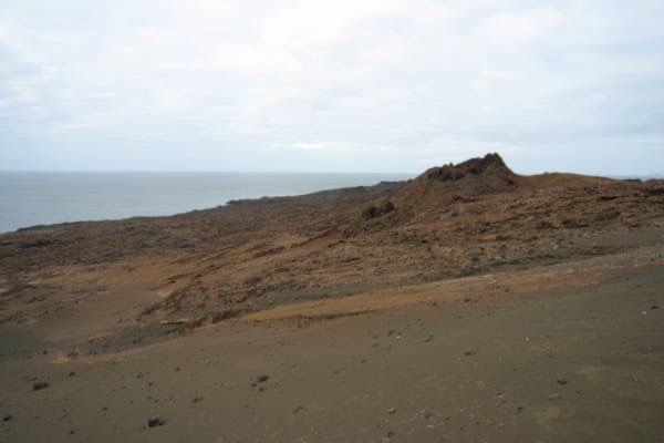 Galapagos_Land_D70276.jpg