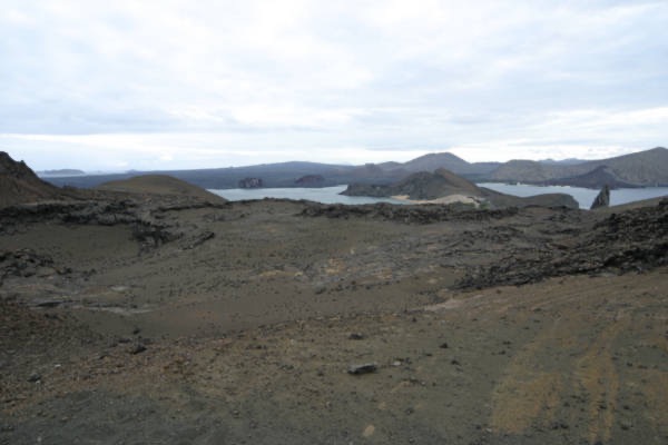 Galapagos_Land_D70295.jpg