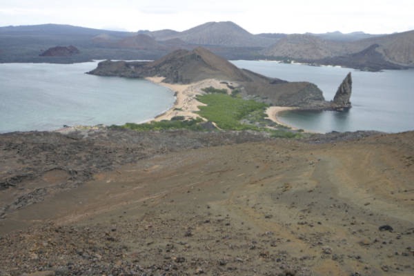 Galapagos_Land_D70312.jpg