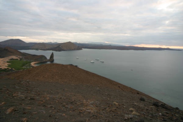 Galapagos_Land_D70326.jpg