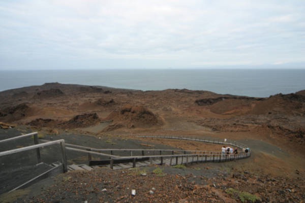 Galapagos_Land_D70337.jpg