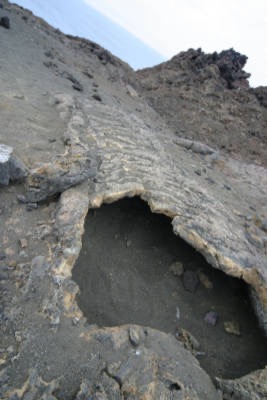 Galapagos_Land_D70348.jpg