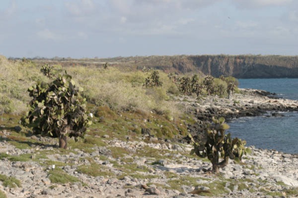 Galapagos_Land_D80099.jpg