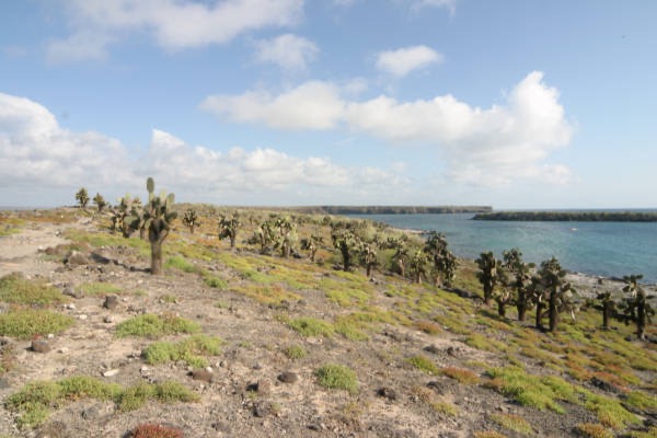 Galapagos_Land_D80127.jpg