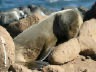 th_Galapagos_Land_D30232.jpg