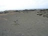 th_Galapagos_Land_D70246.jpg