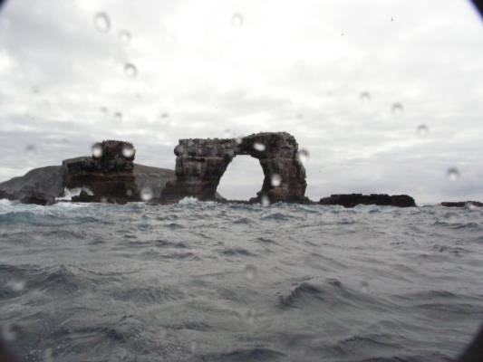 Galapagos_UW_D30081.jpg