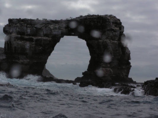 Galapagos_UW_D30083.jpg