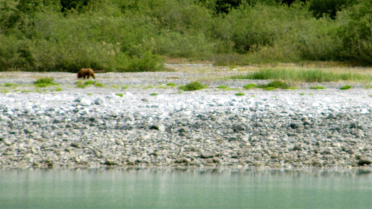 2015-06-30 Alaska 2015 79.jpg