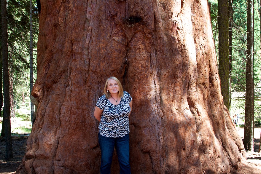 2010-07-23 SequoiaNatPark 023.jpg