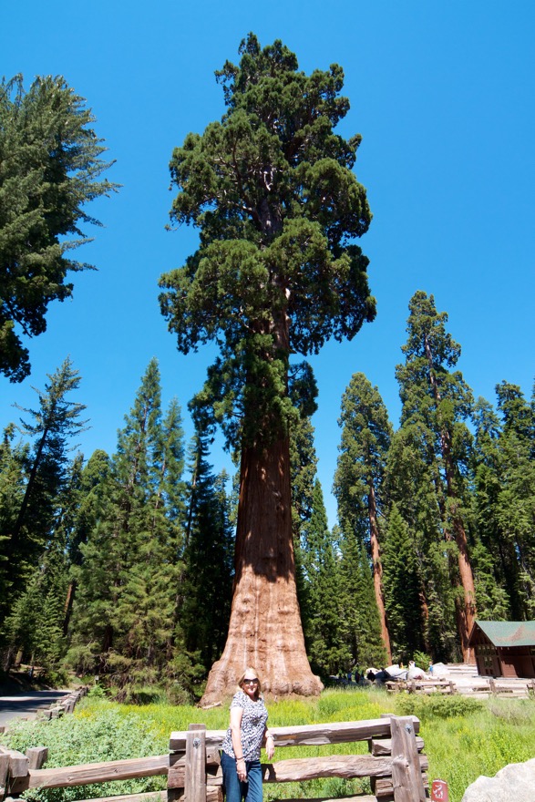 2010-07-23 SequoiaNatPark 029.jpg