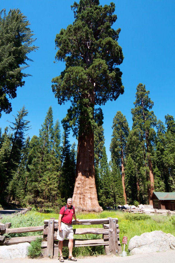 2010-07-23 SequoiaNatPark 030.jpg