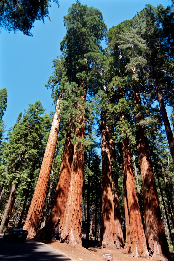 2010-07-23 SequoiaNatPark 044.jpg