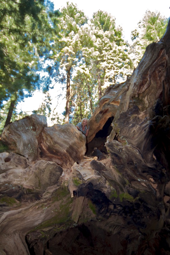 2010-07-23 SequoiaNatPark 069.jpg