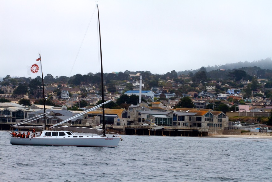 2010-07-30 MontereyWhaleWatch 505.jpg