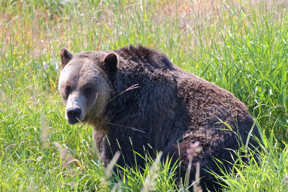 2015-07-05 Canada 2015 306.jpg