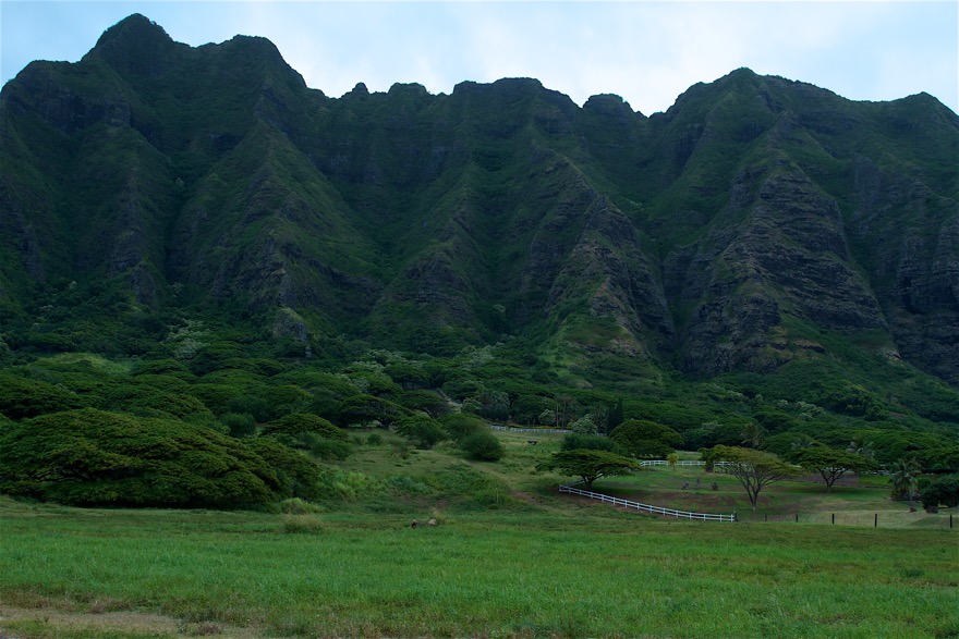 Hawaii2011 1640 2011-07-21.jpg