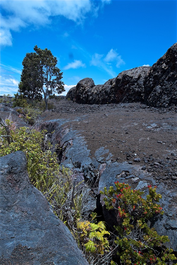 Hawaii2011 1854 2011-07-23.jpg