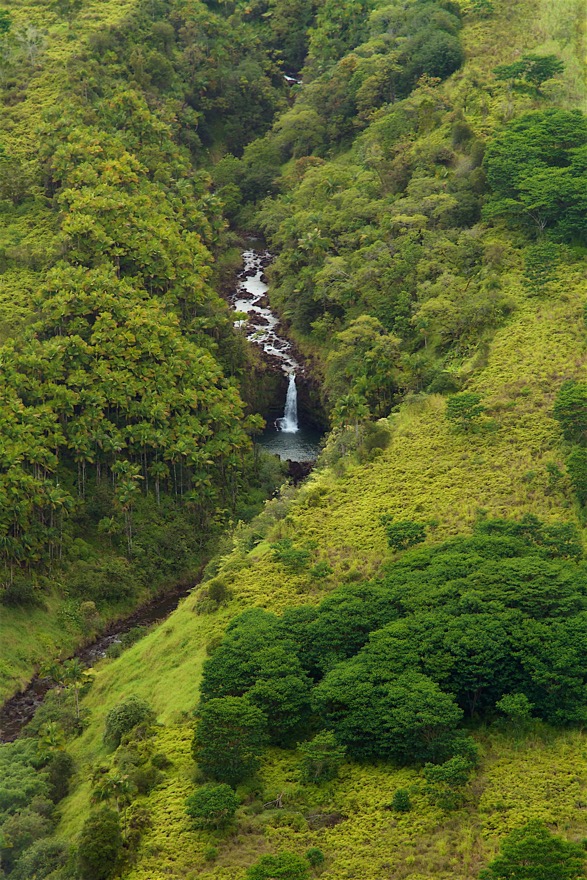 Hawaii2011 2106 2011-07-23.jpg