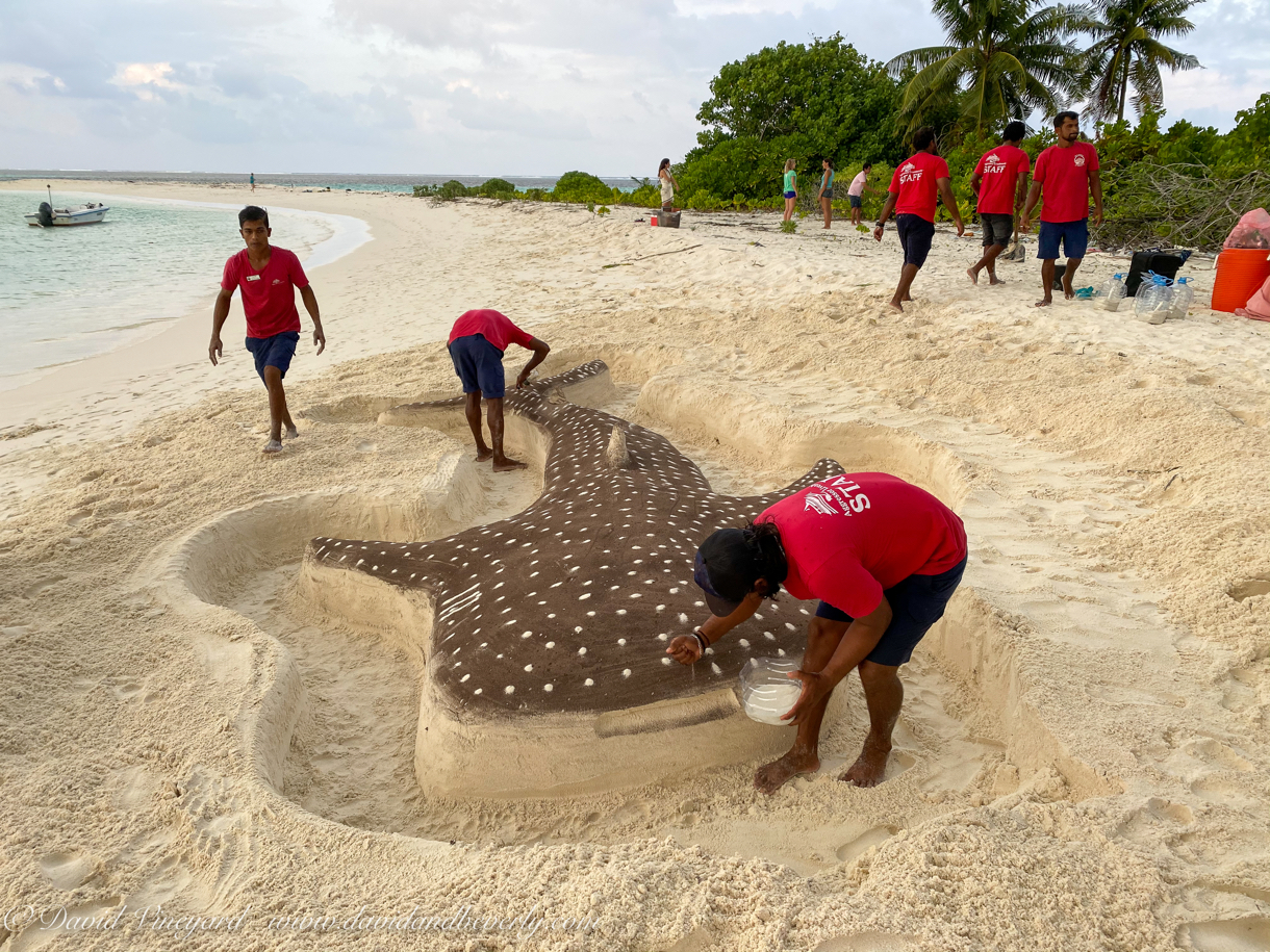 Vineyard_Maldives_Land_2020-43.jpg