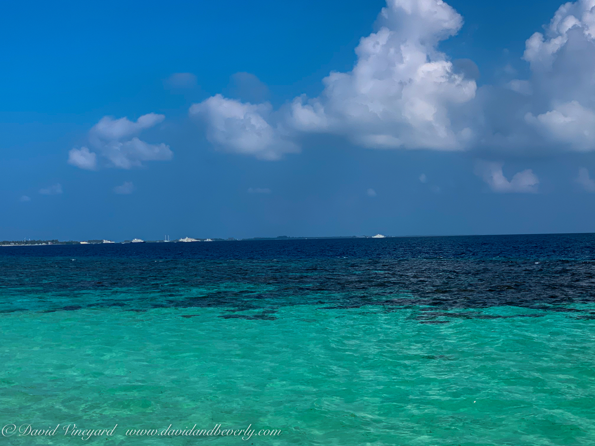 Vineyard_Maldives_Land_2020-49.jpg