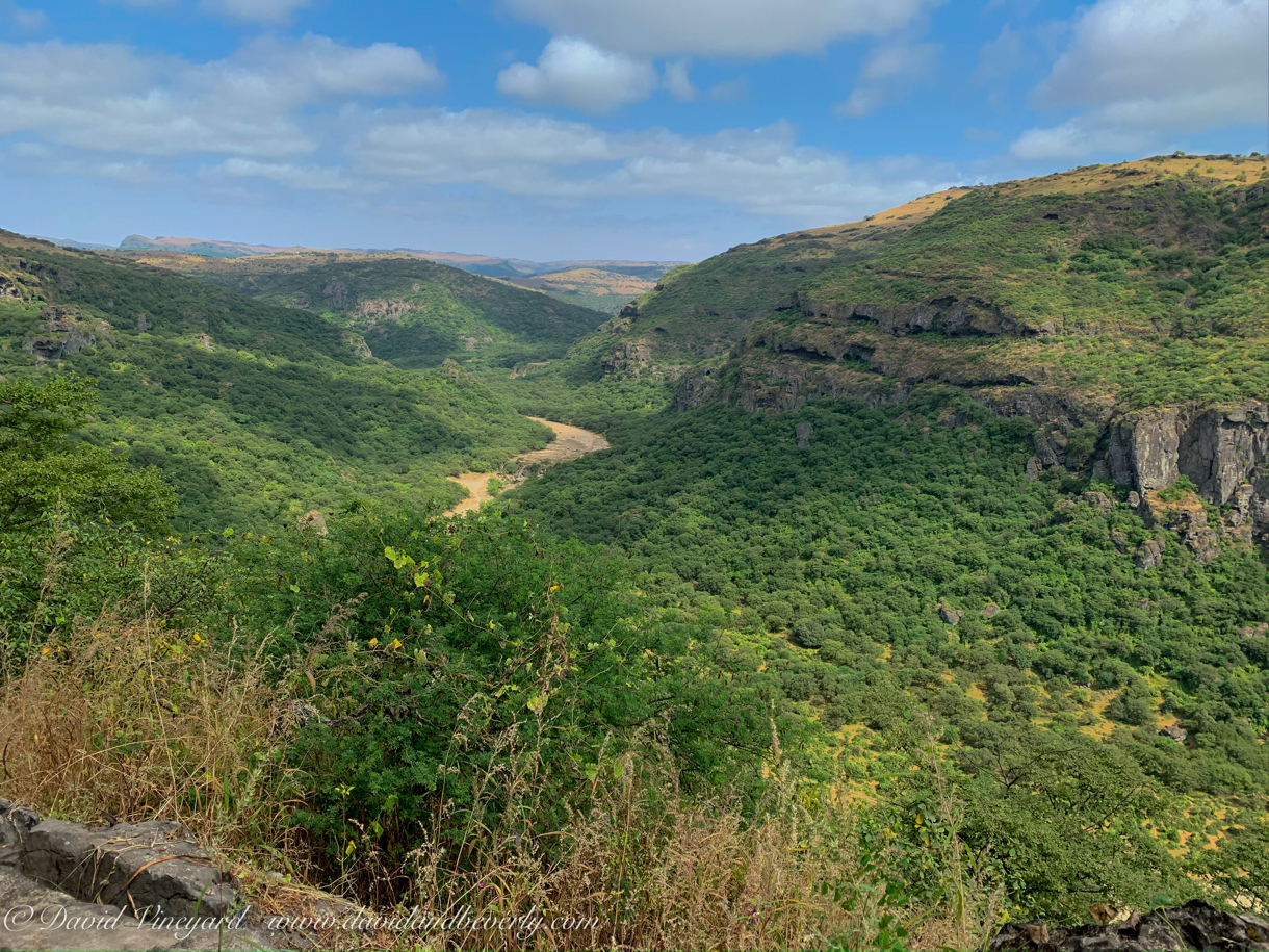 20191005- Salalah Oman 2019 -5.jpg