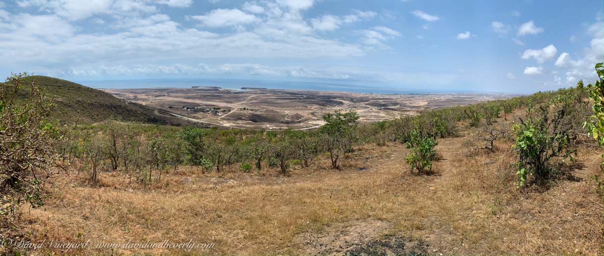 20191006- Salalah Oman 2019 -30.jpg