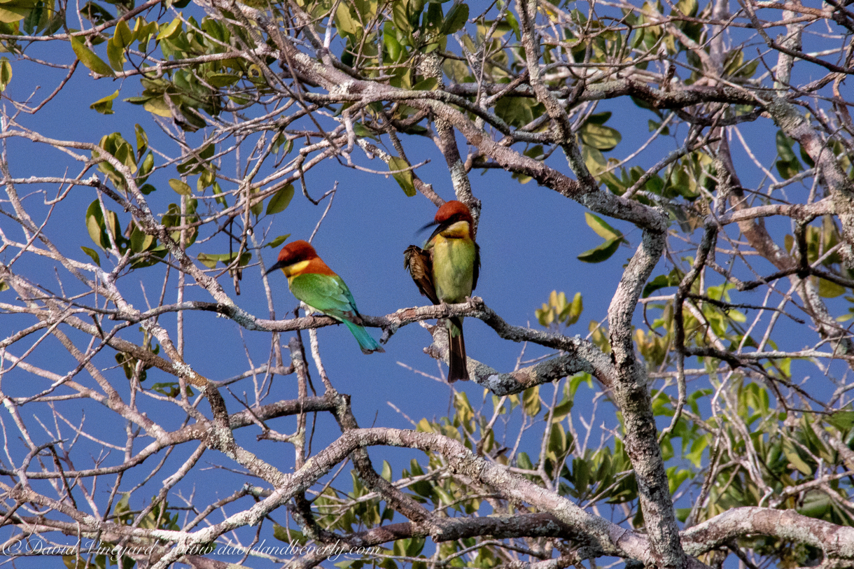 20190316- Wilpattu Sanctuary-194.jpg