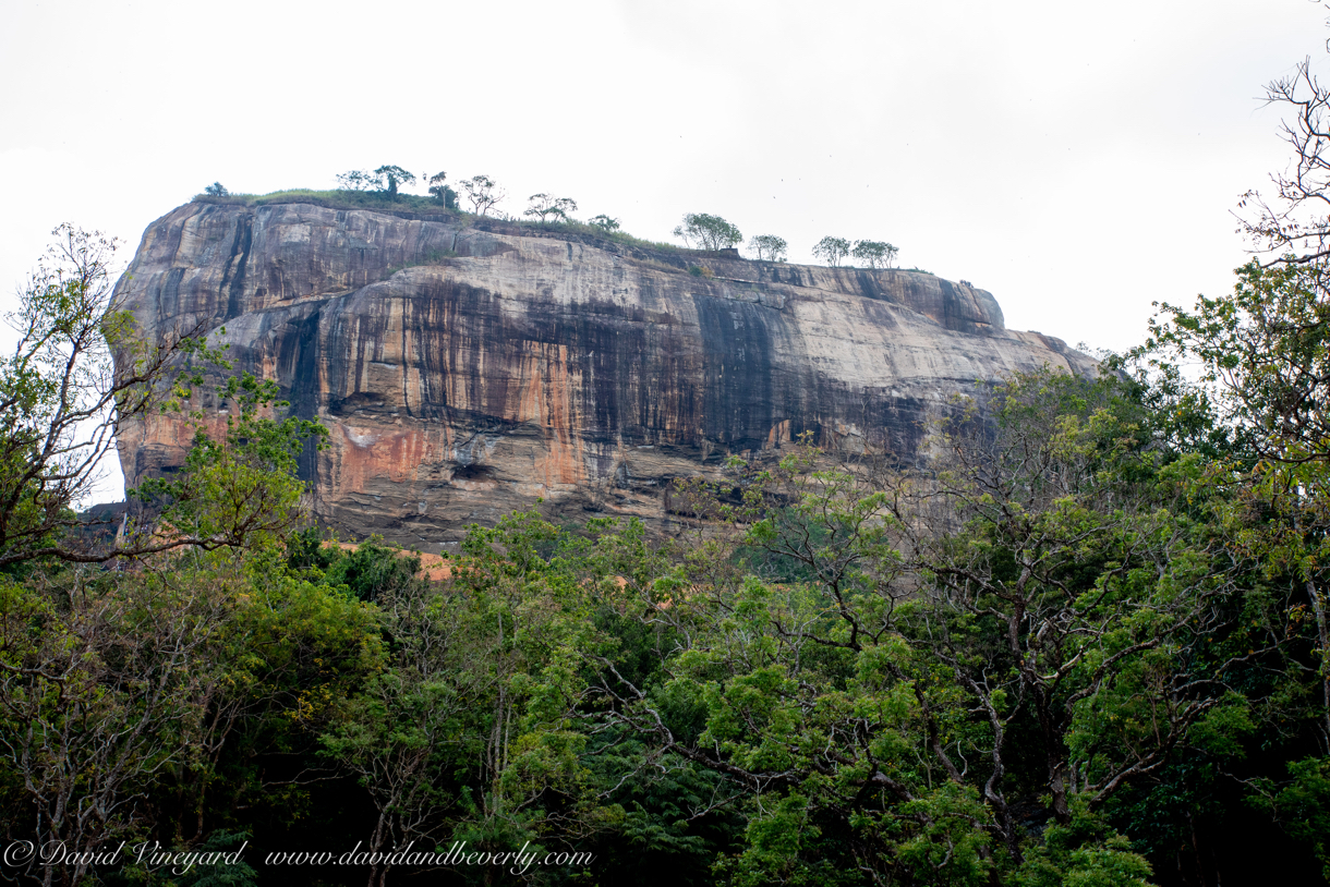 20190317- Sigiriya-18.jpg