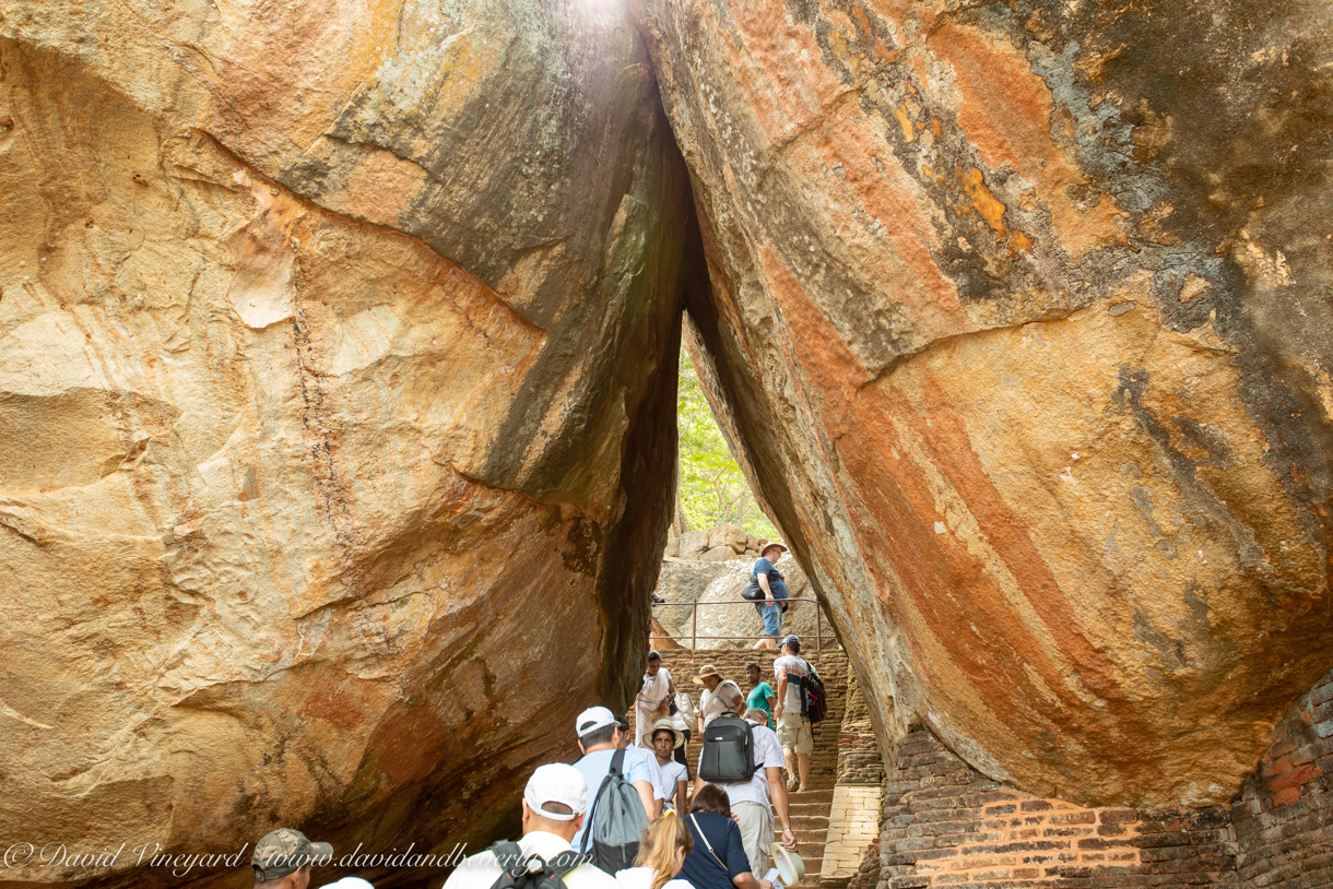 20190317- Sigiriya-27.jpg