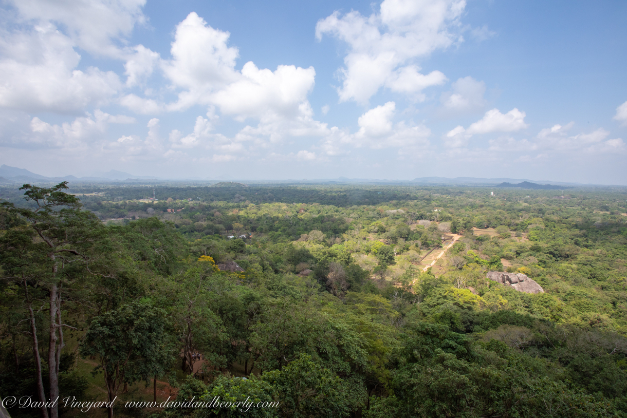 20190317- Sigiriya-35.jpg