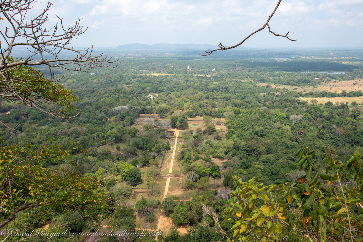 20190317- Sigiriya-53.jpg