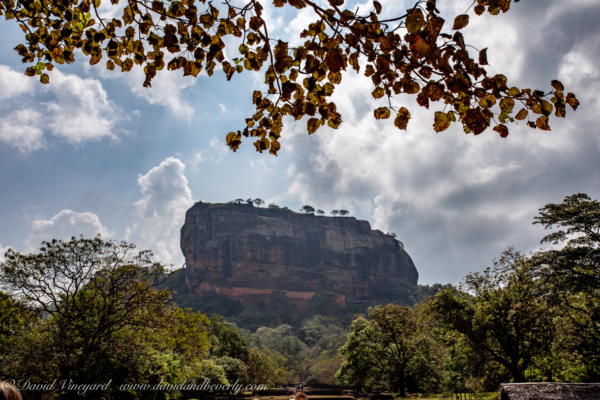 20190317- Sigiriya-7.jpg