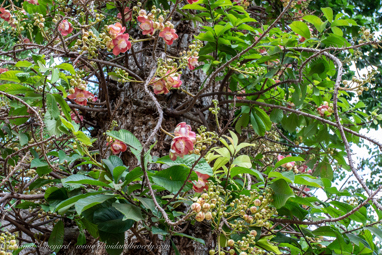 20190318- Stupas-32.jpg