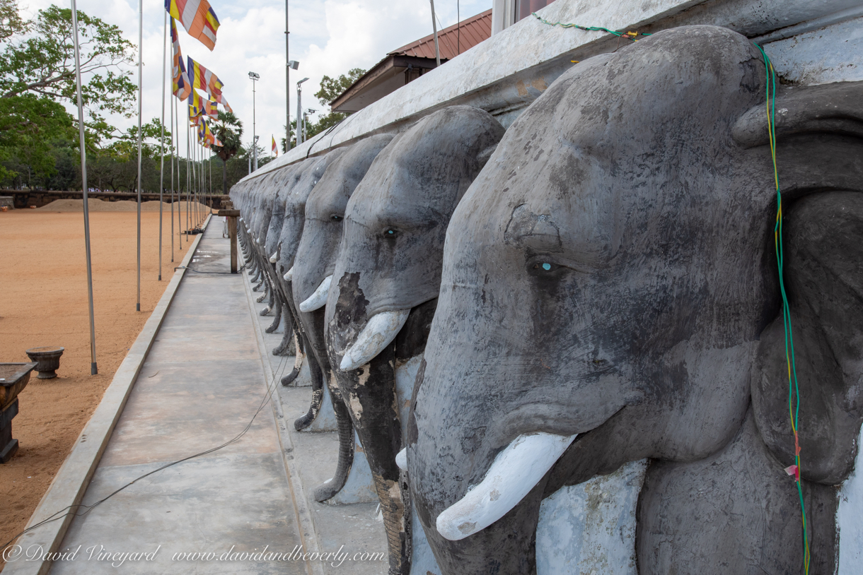 20190318- Stupas-66.jpg