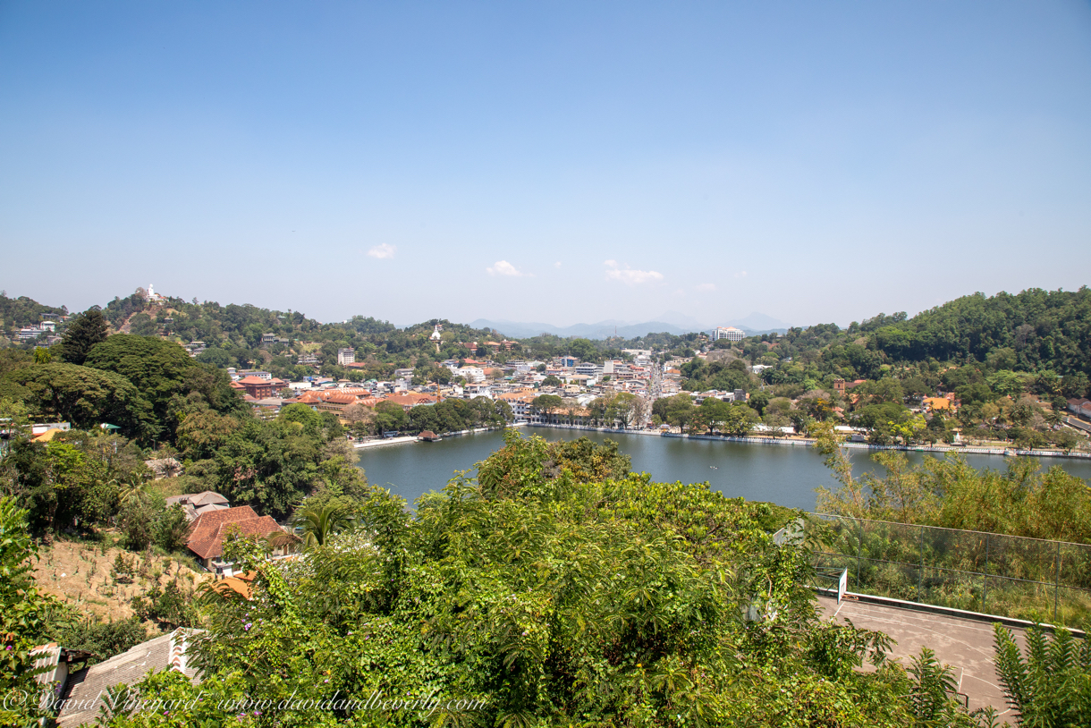 20190320- Kandy-29.jpg